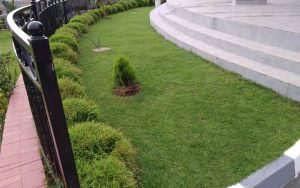 WhatsApp Image 2026-01-20 at 13.14.27