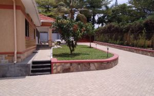 WhatsApp Image 2026-01-20 at 13.18.17 (1)