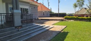 WhatsApp Image 2026-01-20 at 13.28.33