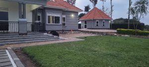 WhatsApp Image 2026-01-20 at 13.28.53