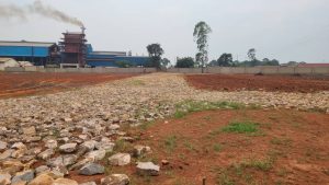 WhatsApp Image 2026-01-20 at 13.37.55 (1)