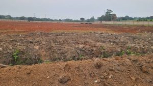 WhatsApp Image 2026-01-20 at 13.37.56