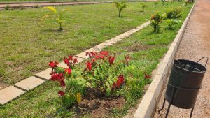 WhatsApp Image 2026-01-20 at 13.43.06