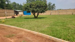 WhatsApp Image 2026-01-20 at 13.43.11 (1)