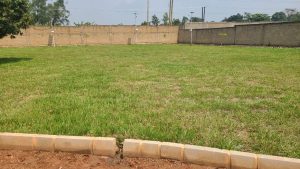 WhatsApp Image 2026-01-20 at 13.43.11