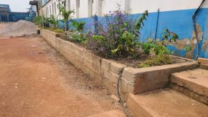 WhatsApp Image 2026-01-20 at 13.43.15 (1)