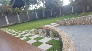 WhatsApp Image 2026-01-20 at 14.11.16