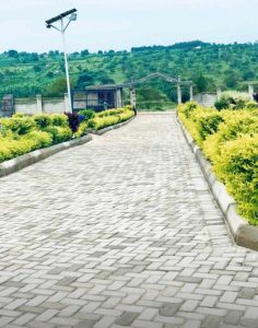 WhatsApp Image 2026-01-20 at 14.11.19