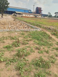 WhatsApp Image 2026-01-20 at 14.24.23