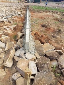 WhatsApp Image 2026-01-20 at 14.24.25