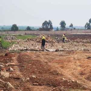 WhatsApp Image 2026-01-20 at 14.24.27 (1)