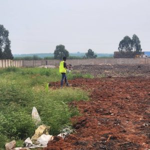 WhatsApp Image 2026-01-20 at 14.24.28