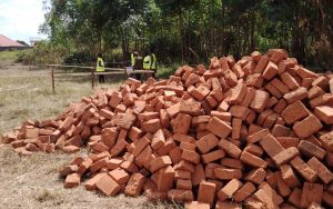 WhatsApp Image 2026-01-22 at 14.26.23 (1)