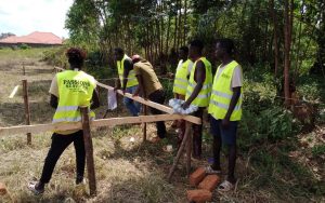 WhatsApp Image 2026-01-22 at 14.26.24