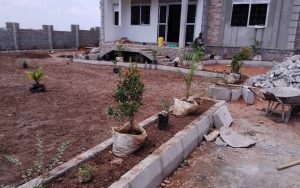 WhatsApp Image 2026-01-22 at 14.31.24