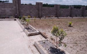 WhatsApp Image 2026-01-22 at 14.31.41