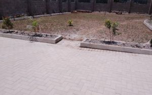 WhatsApp Image 2026-01-22 at 14.31.43