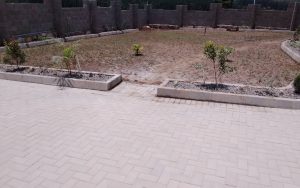 WhatsApp Image 2026-01-22 at 14.31.44