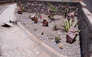 WhatsApp Image 2026-01-22 at 14.31.45