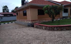 WhatsApp Image 2026-01-22 at 14.48.49