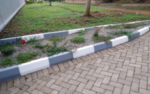 WhatsApp Image 2026-01-22 at 14.48.52