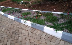 WhatsApp Image 2026-01-22 at 14.48.53