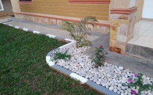 WhatsApp Image 2026-01-22 at 14.49.05