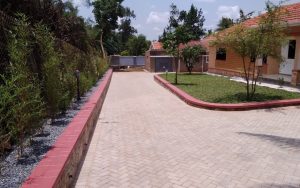 WhatsApp Image 2026-01-22 at 14.49.25