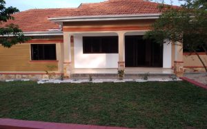 WhatsApp Image 2026-01-22 at 14.49.26 (1)