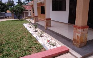 WhatsApp Image 2026-01-22 at 14.49.26