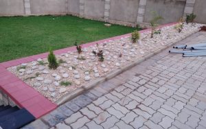 WhatsApp Image 2026-01-22 at 14.53.58