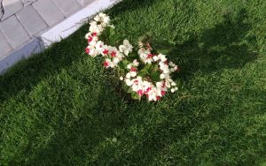 WhatsApp Image 2026-02-02 at 14.59.41