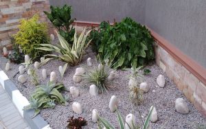 WhatsApp Image 2026-02-02 at 14.59.42