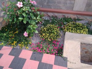 WhatsApp Image 2026-02-02 at 14.59.43 (1)