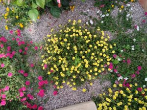 WhatsApp Image 2026-02-02 at 14.59.43