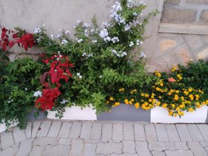 WhatsApp Image 2026-02-02 at 14.59.45