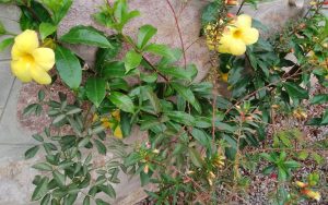 WhatsApp Image 2026-02-02 at 14.59.46