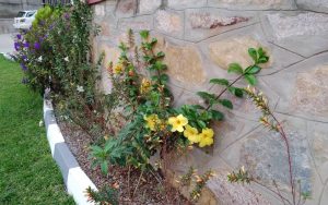 WhatsApp Image 2026-02-02 at 14.59.50