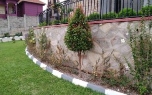 WhatsApp Image 2026-02-02 at 14.59.51