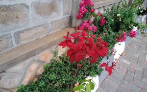 WhatsApp Image 2026-02-02 at 14.59.56