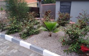 WhatsApp Image 2026-02-02 at 14.59.59