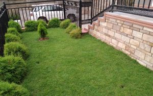 WhatsApp Image 2026-02-02 at 15.00.05