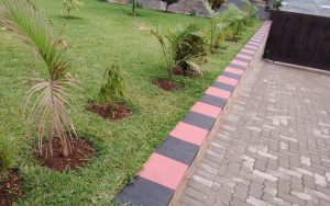 WhatsApp Image 2026-02-02 at 15.00.07