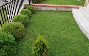 WhatsApp Image 2026-02-02 at 15.00.08