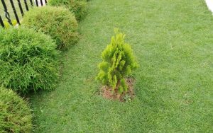 WhatsApp Image 2026-02-02 at 15.00.13