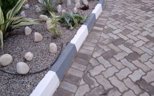 WhatsApp Image 2026-02-02 at 15.00.14