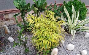 WhatsApp Image 2026-02-02 at 15.00.16