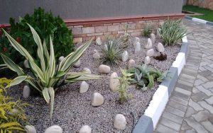 WhatsApp Image 2026-02-02 at 15.00.18