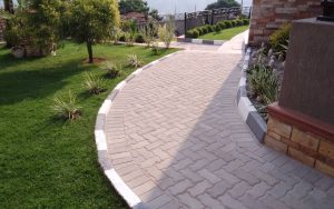 WhatsApp Image 2026-02-02 at 15.00.36