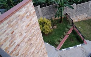 WhatsApp Image 2026-02-02 at 15.00.50